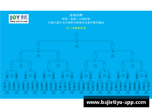 八戒体育官方网站法国逆转成功，晋级欧洲杯预选赛